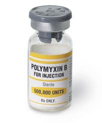 Polymyxin B