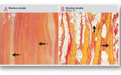 التكيف الخلوي