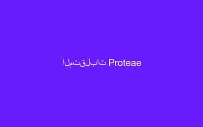 المتقلبات Proteae