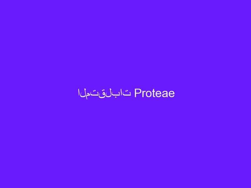 المتقلبات Proteae