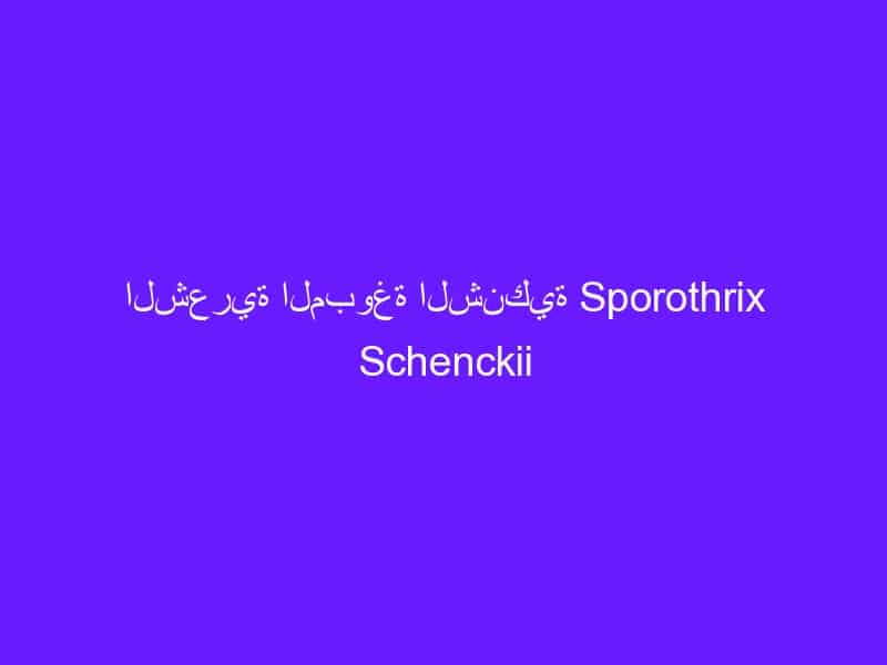 الشعرية المبوغة الشنكية Sporothrix Schenckii
