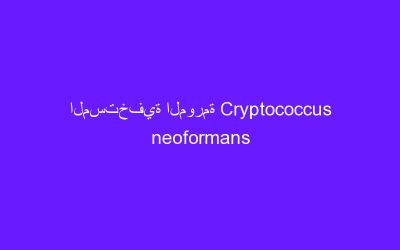 المستخفية المورمة Cryptococcus neoformans