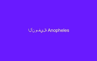 الأنوفيلة Anopheles