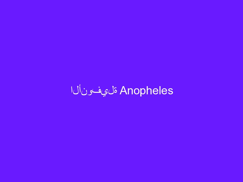 الأنوفيلة Anopheles