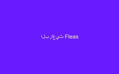 البراغيث Fleas