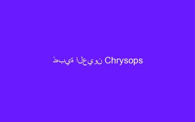ذهبية العيون Chrysops