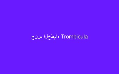 جنس الخطماء Trombicula