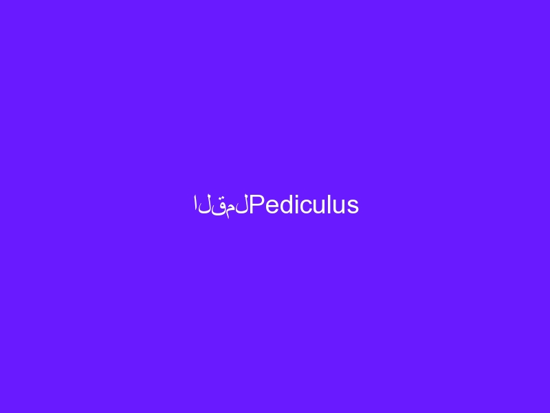 القملPediculus