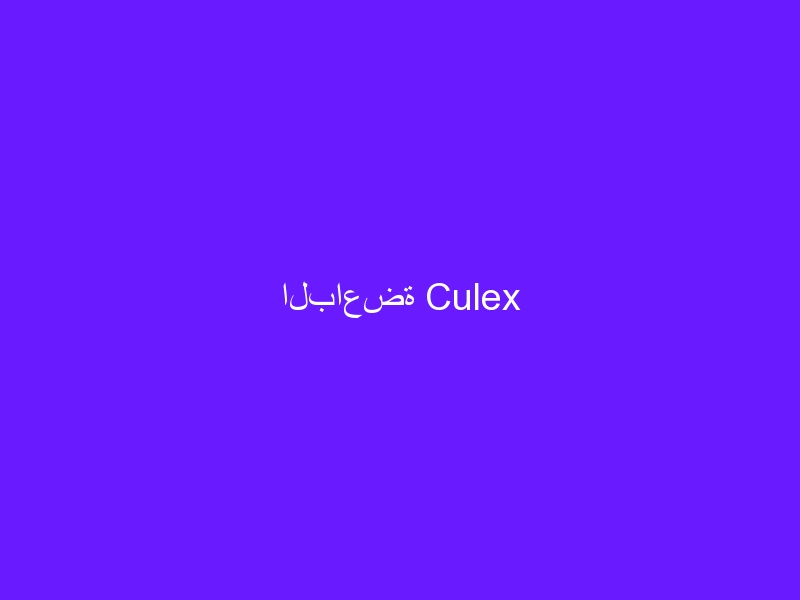 الباعضة Culex